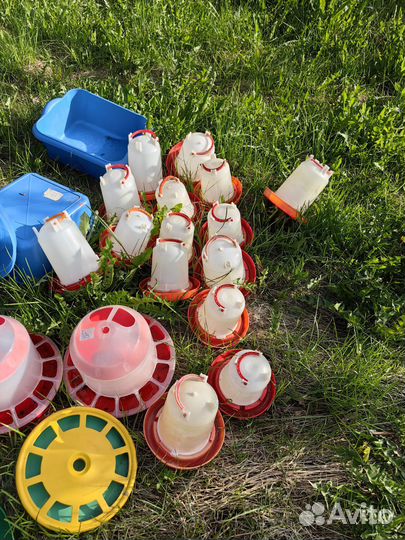 Поилки для кур и кормушки