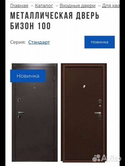 Металлическая дверь бизон 100