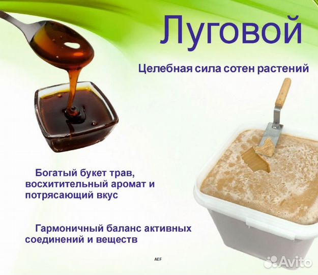 Алтайский мёд 24 года (оптом)