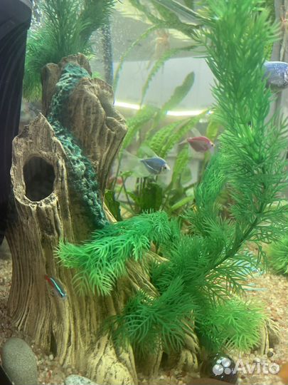 Декоры для аквариума
