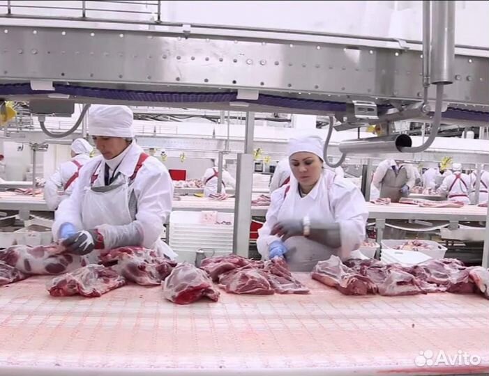 Разнорабочие/вахта с 2-х разовым питанием