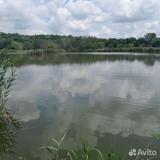 Рыбалка и отдых