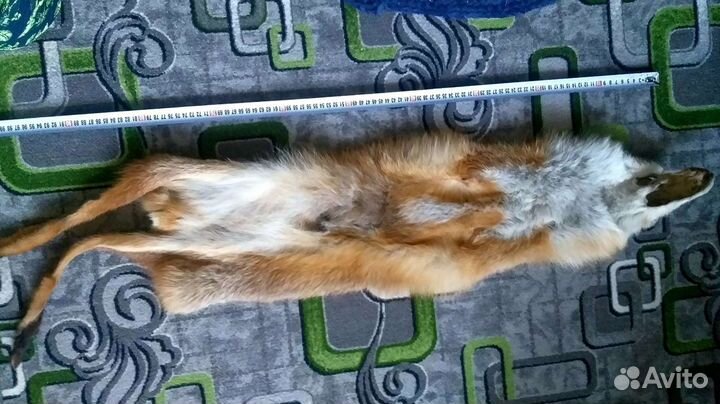 Лиса.Выделанная шкура.Чулок