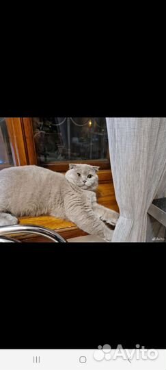 Британская