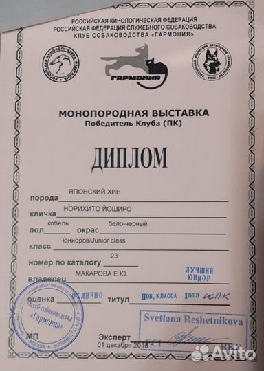 Японский хин на вязку