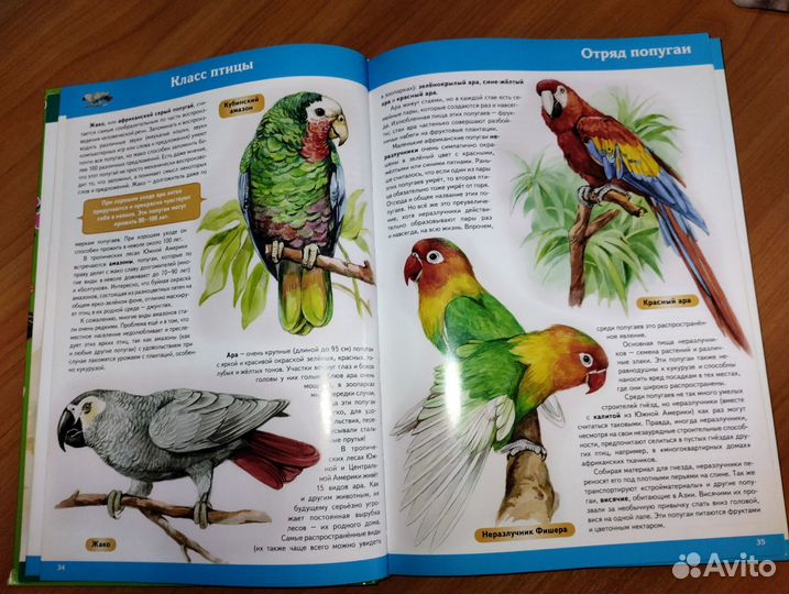 Энциклопедия