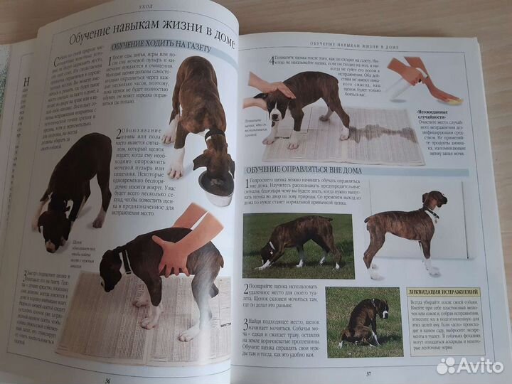 Книга о собаках