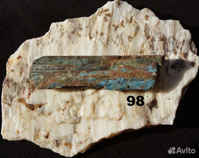 Разная окаменелая древесина (окаменелости)