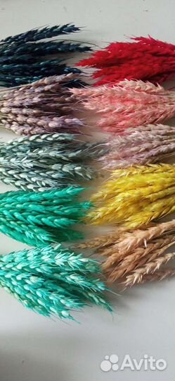 Сухоцветы злаки травы для флористики