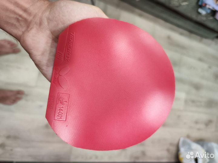 Butterfly tenergy 05