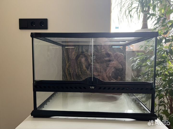 Террариум для эублефара или змеи Exoterra 45x45x30