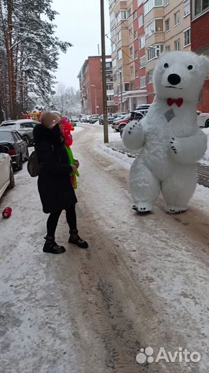 Белый Мишка, Чебурашка на поздравление