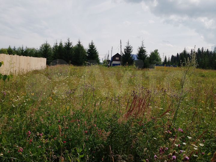 Участок 16,8 сот. (ИЖС)