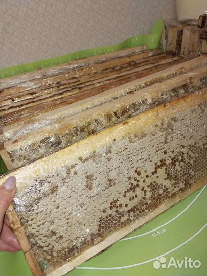 Соты в рамке (мед в сотах )