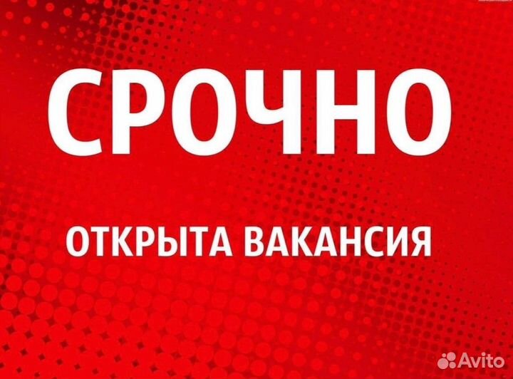 Упаковщики шоколада/Ступино