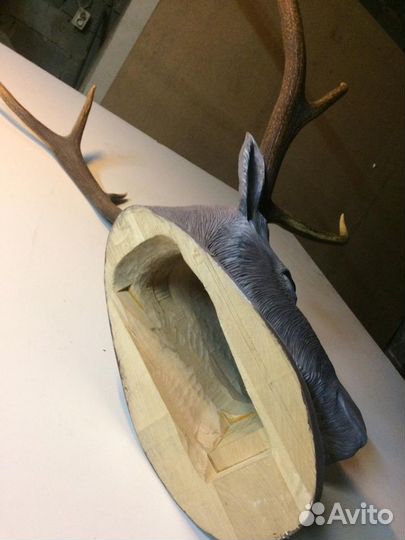 Продам оленя Морала с натуральными рогами)