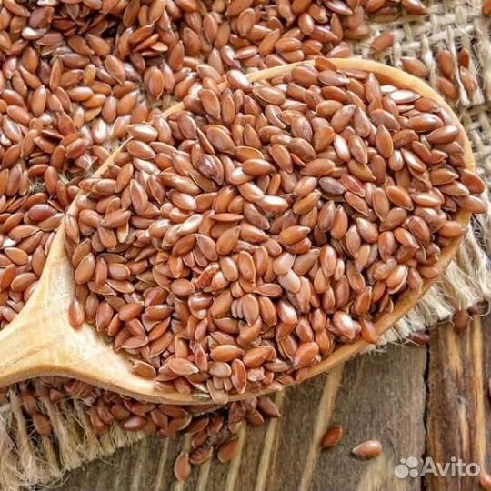 Лён алтайский коричневый и золотистый