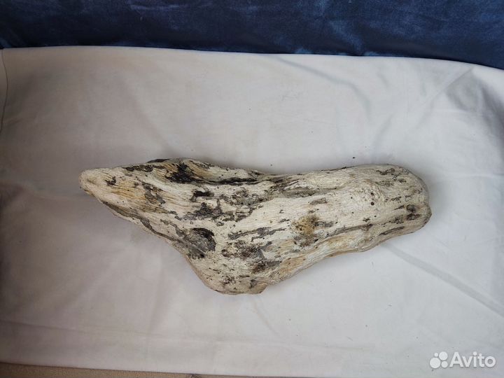 Коряги дрифтвуд