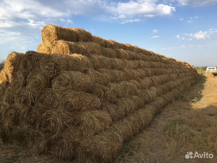 Сено в рулонах