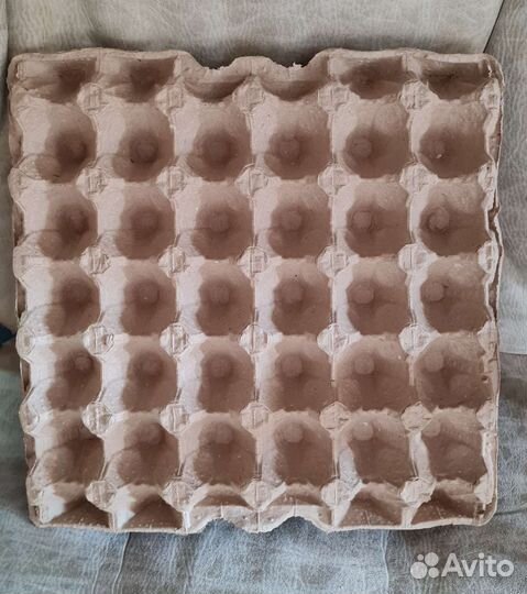 Кассеты для яиц