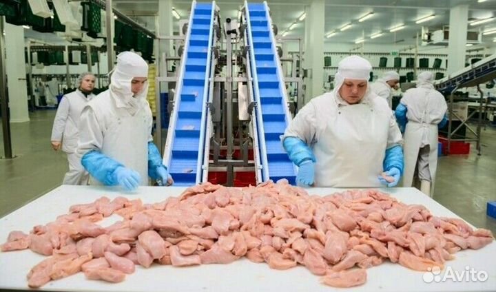 Работа разнорабочим на мясокомбинате(Вахта)