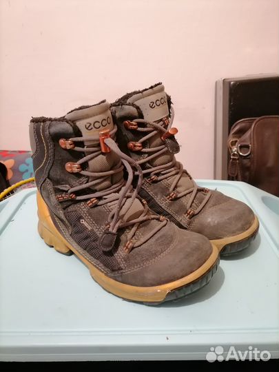 Зимние ботинки ecco 35