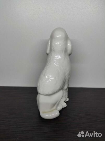 Пудель лфз белый