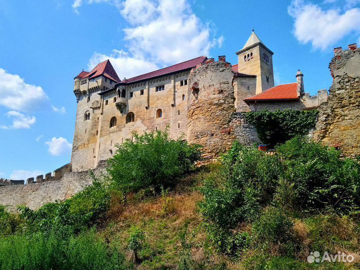 Вена Топ-Экскурсия Сокровища Венского леса