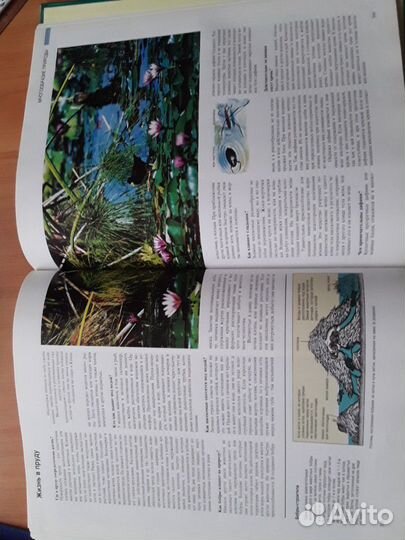 Энциклопедия