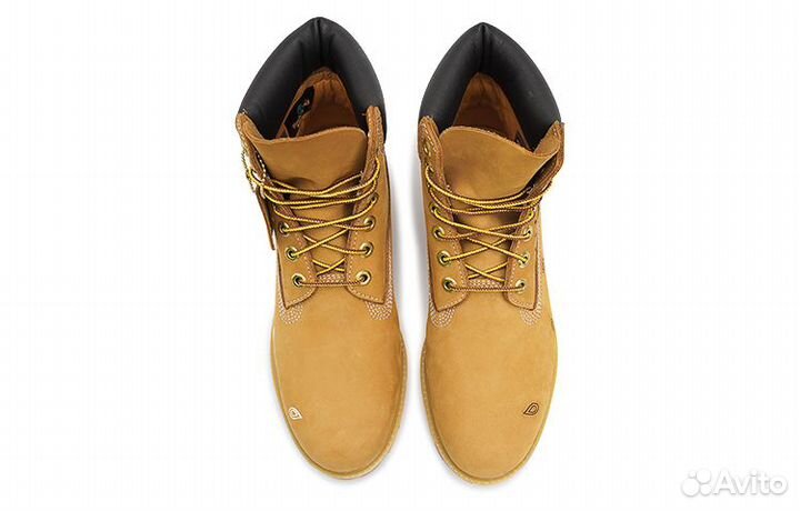 Timberland Outdoor Boots Men Yellow (44,5)