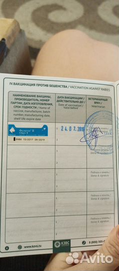 Продам мэен-кун девочка