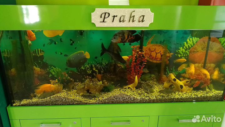 Свой Человек, помощь Волгоград, Волжский, область