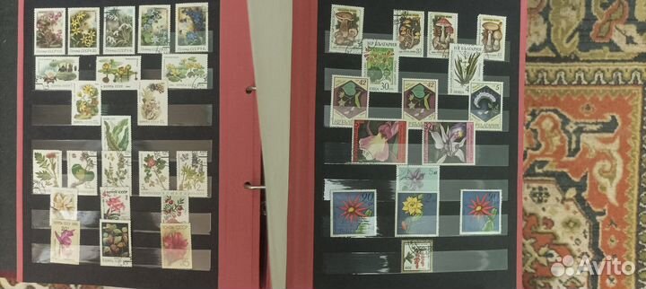 Почтовые марки флора и фауна