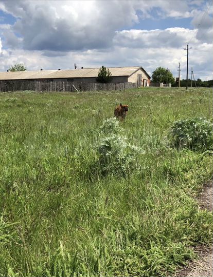 Участок 3 га (промназначения)