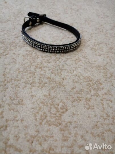 Товары для животных