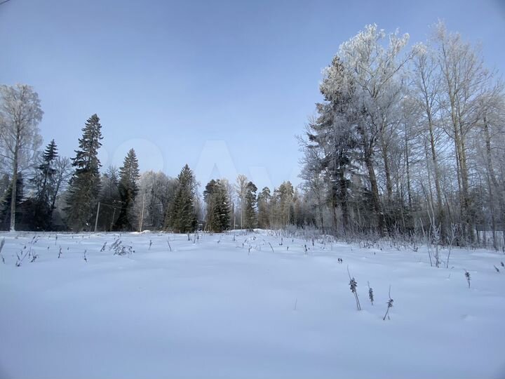 Участок 12,5 сот. (ИЖС)