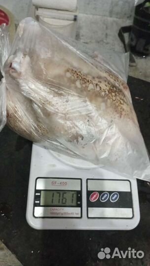 Мясо бройлера