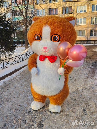 Аниматор Рыжая лиса,котик на праздник