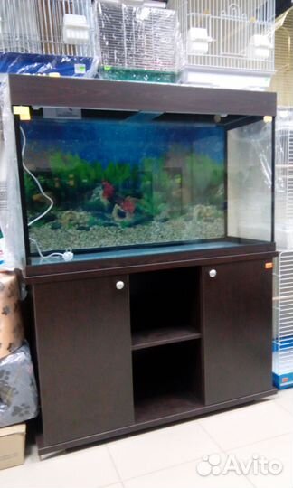 Панорамные аквариумные комплексы