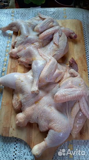 Мясо домашней птицы