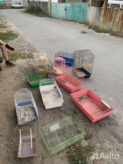 Клетки для грызунов,попугаев