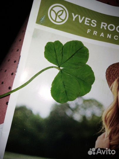 Амулет,клевер четырехлистный,настоящий