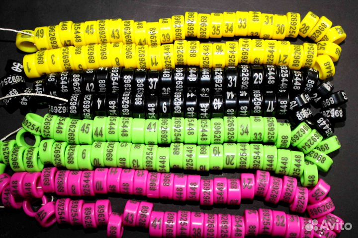 Кольцо на лапку голубя