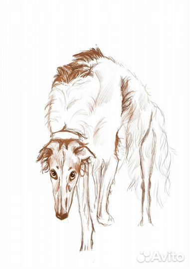 Портрет питомца