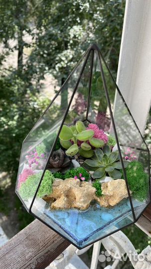 Флорариум с суккулентами