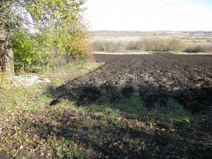 Дом 55 м² на участке 48 сот.