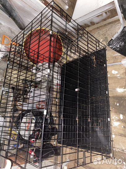 Клетка вольер для собак