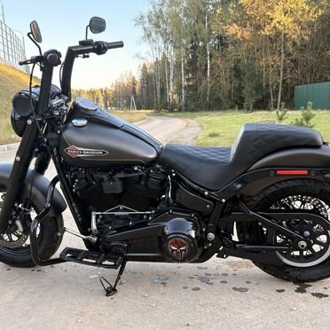 Harley-Davidson Softail Slim, 2021, 5 600 км