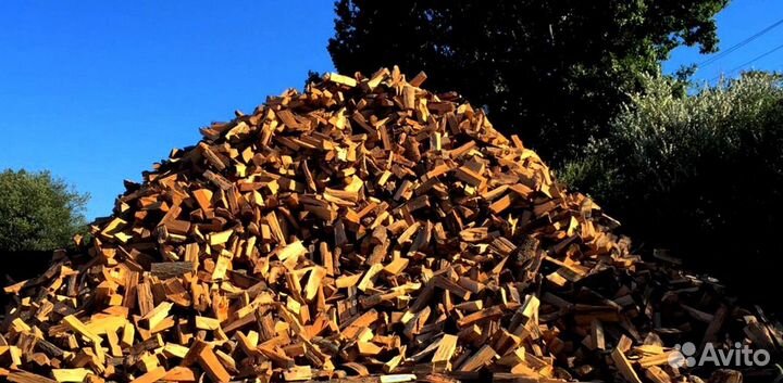 Дрова без гнили