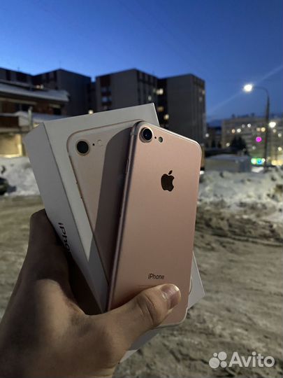 iPhone SE (2020), 64 ГБ